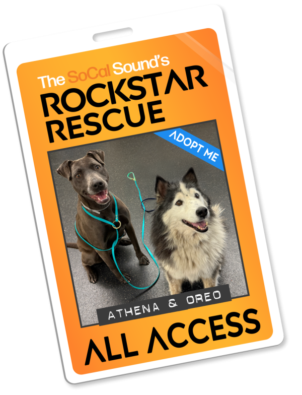 KCSN RockstarRescue PotW 111725 Pass