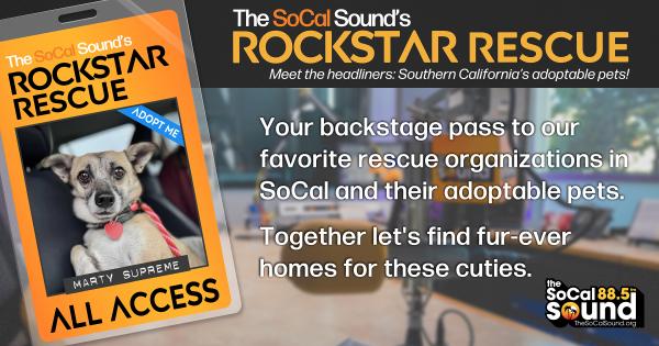 KCSN RockstarRescue PotW 031126 CreateOutlines FACEBOOK 1200x631