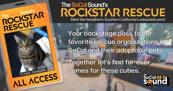 KCSN RockstarRescue PotW 040126 CreateOutlines FACEBOOK 1200x631