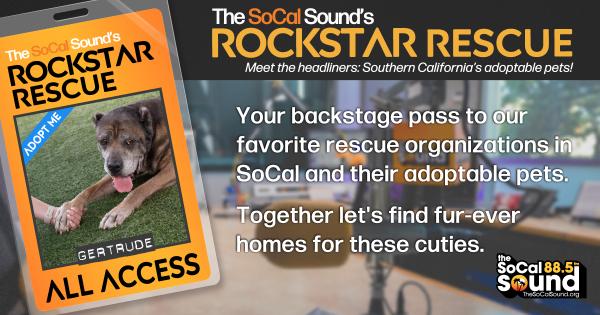 KCSN RockstarRescue PotW 110325 CreateOutlines FACEBOOK 1200x631